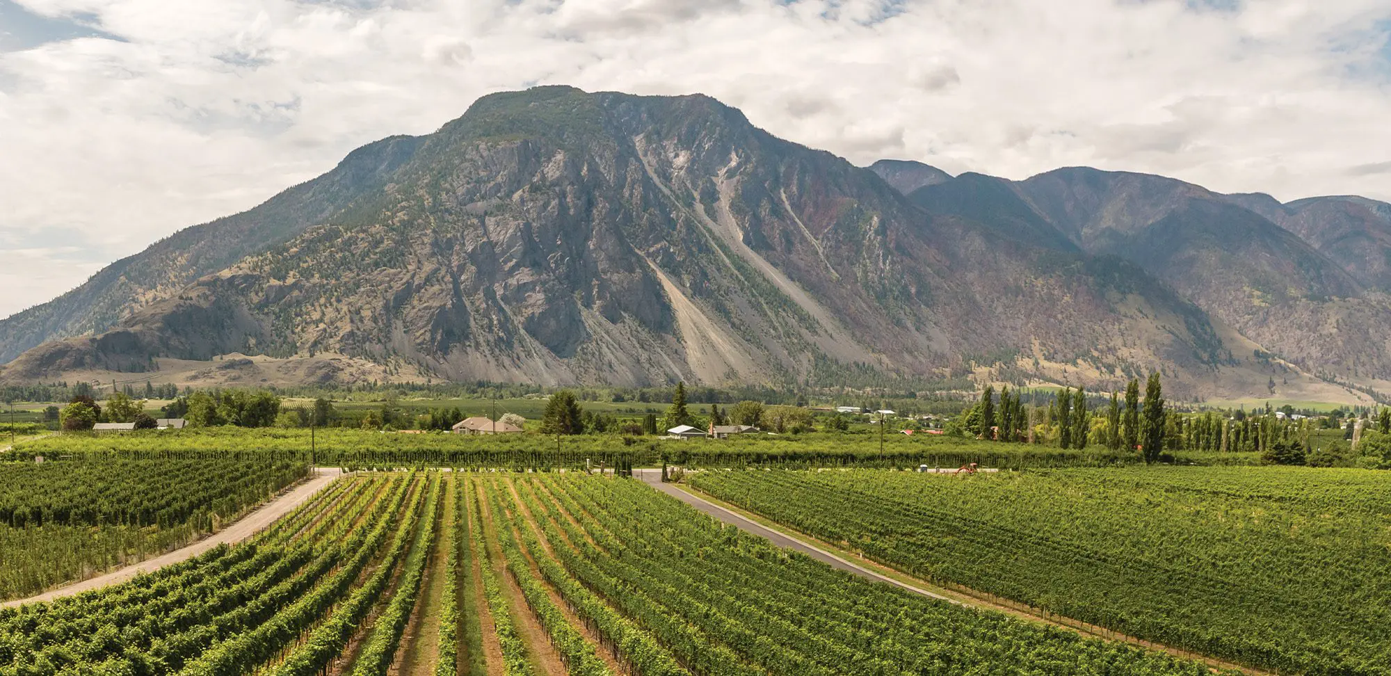 À la santé des vignobles canadiens