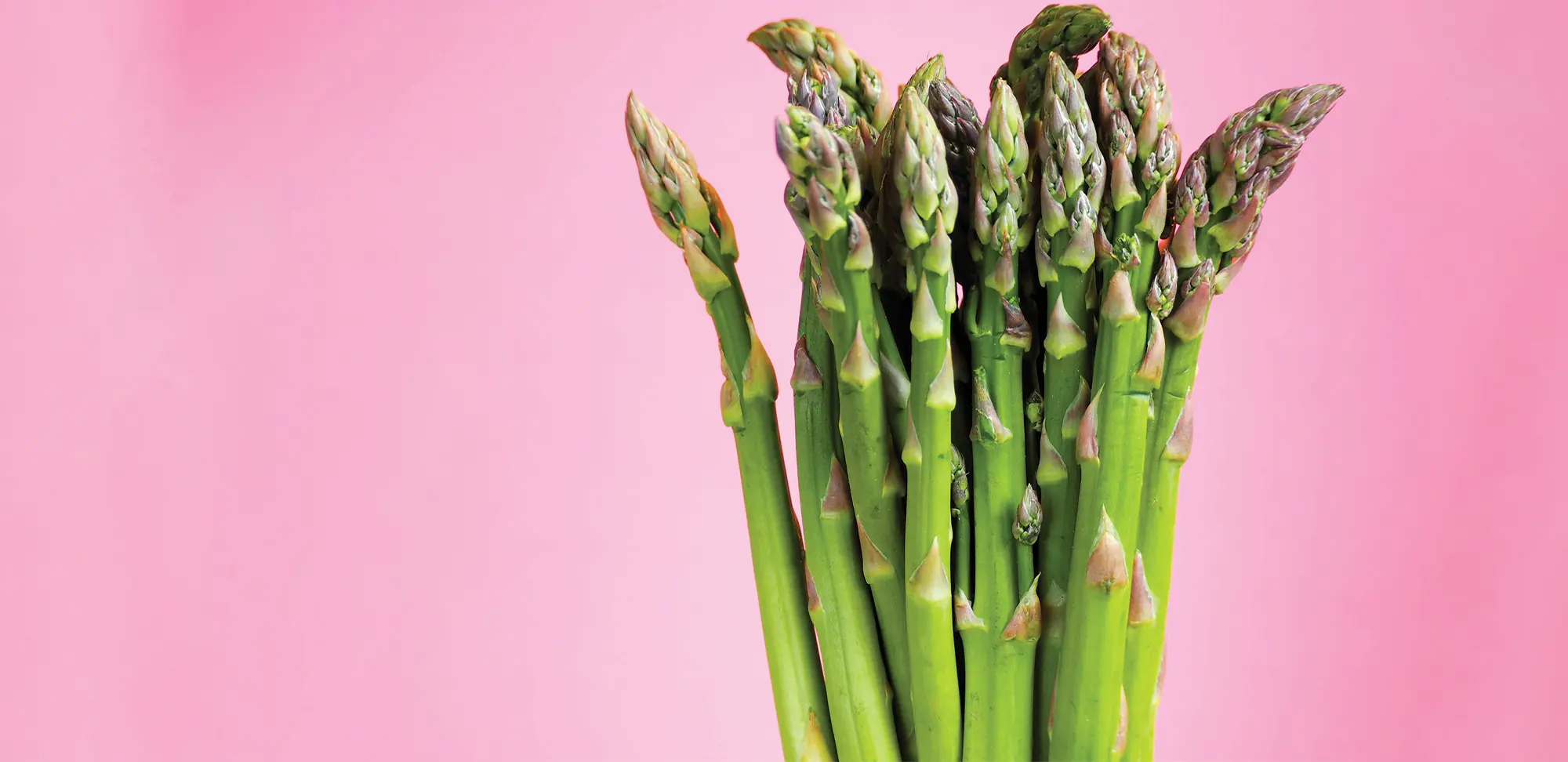 Célébrer la générosité du printemps