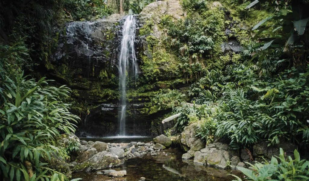 Photo of a waterfall in national park