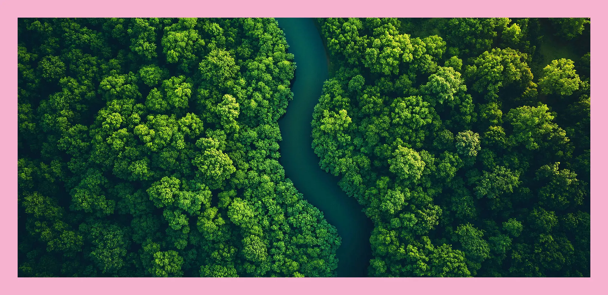 Aerial View of a Meandering River through a Forest
